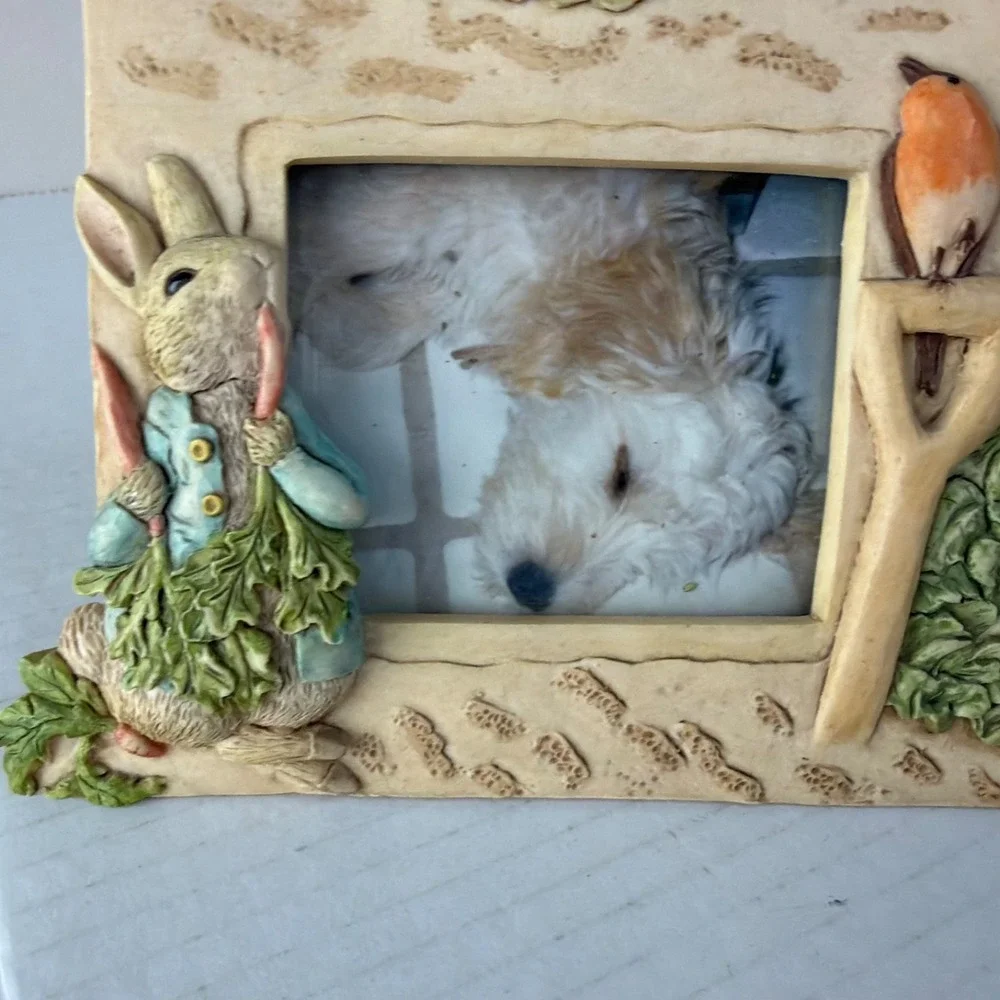 Frederick Warne & Co 94' Charpente Peter Rabbit Resin 3D Picture Frame 7'X5